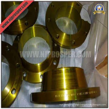 Wn Raised Face Flange (YZF-F13)